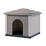DOGGY URBAN 80