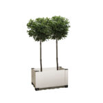 FLORì 80
